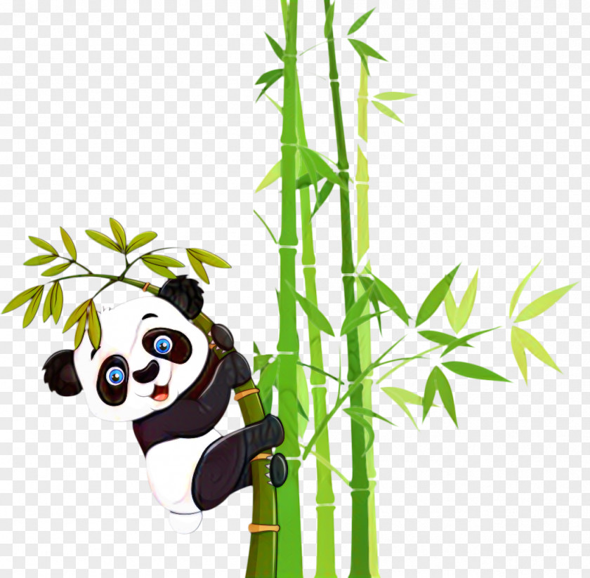 Giant Panda Bamboo Clip Art Bear PNG
