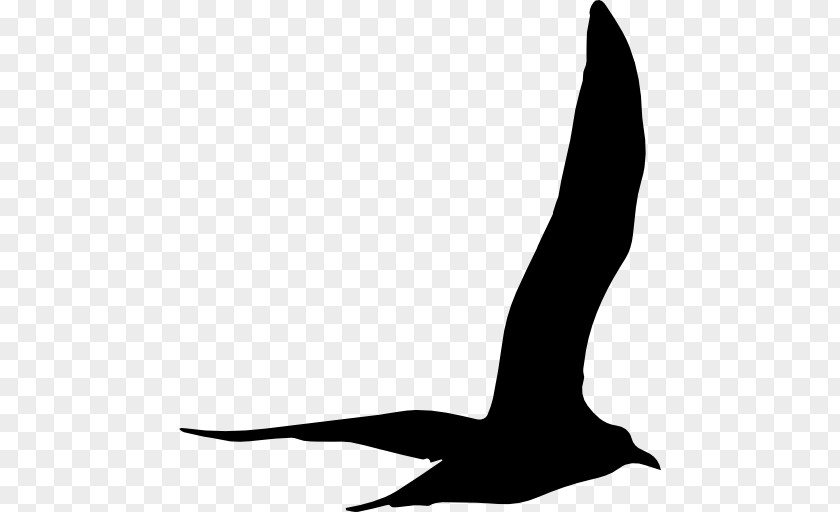 Gull Black And White Beak Shoe Font Pattern PNG
