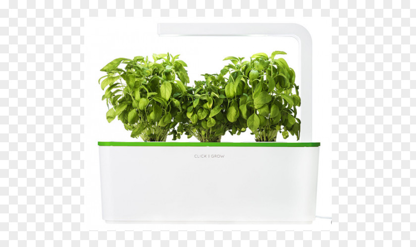 Herb Garden Growing Gardening Click & Grow PNG