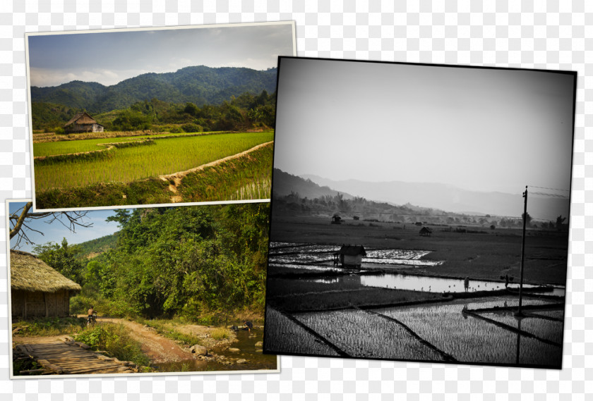 Pha That Luang Lao Reservoir Land Lot Picture Frames Photography Water Resources PNG
