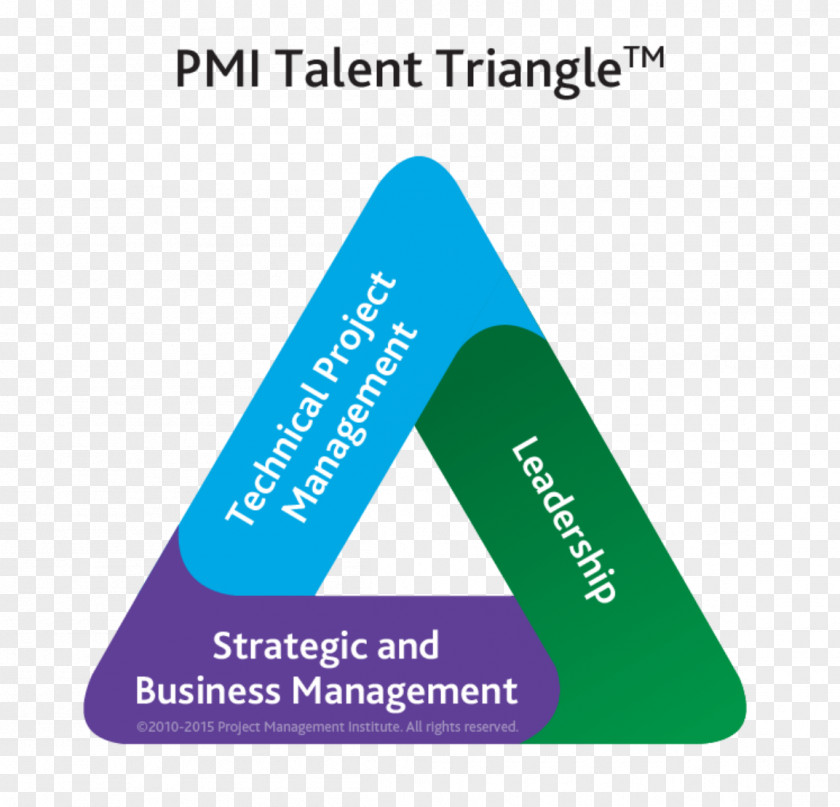 Talent Show Project Management Body Of Knowledge Institute Professional Skill PNG