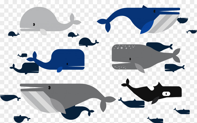 Vector Whale Moby-Dick Marine Mammal Beluga PNG