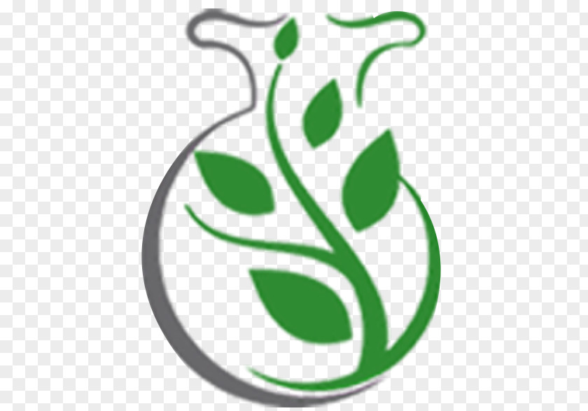 Θ. ΚΟΥΡΕΜΠΕΣ Δ. ΜΗΤΣΟΠΟΥΛΟΣ ΟΕ- Ζευγολατειό Agriculture African Violets JuglansGoji Berries Plant ΓΕΩΠΟΝΙΚΟ ΕΡΓΑΣΤΗΡΙΟ PNG
