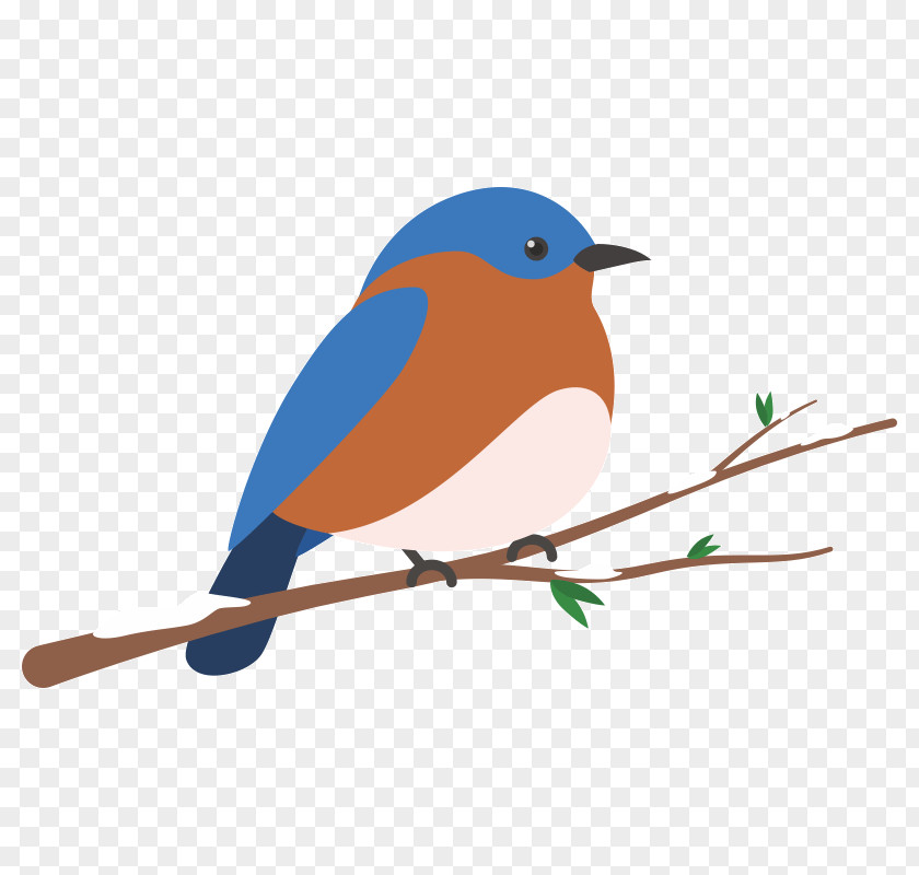 Bird European Robin Clip Art PNG