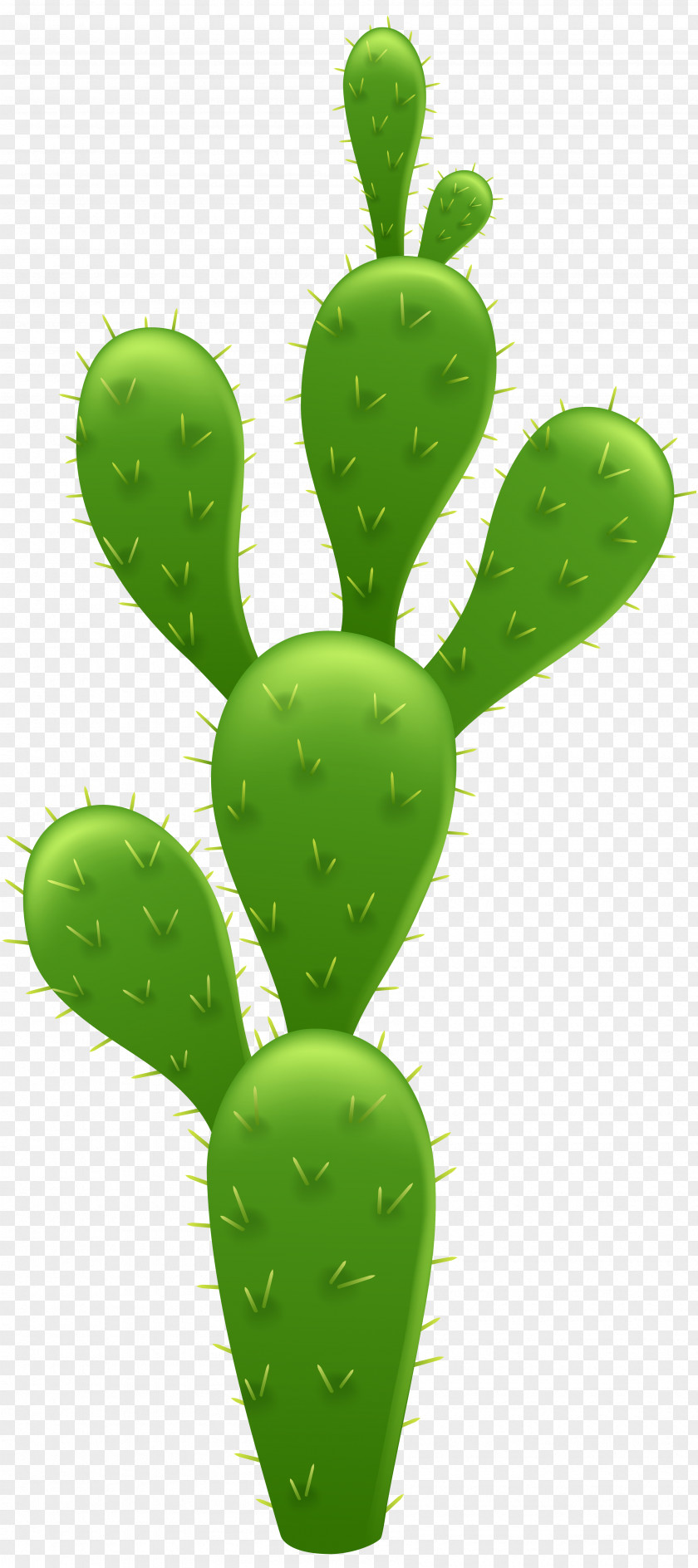 Cactus Cactaceae Prickly Pear Clip Art PNG