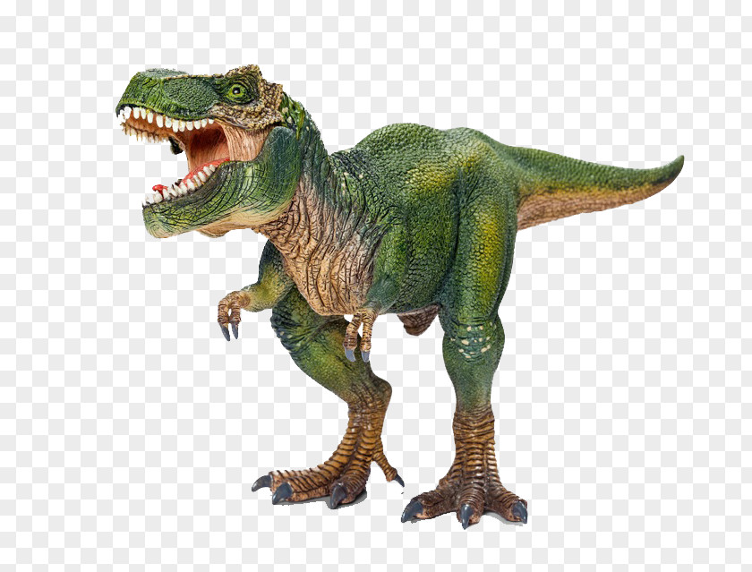 Dinosaur Tyrannosaurus Therizinosaurus Velociraptor Schleich PNG