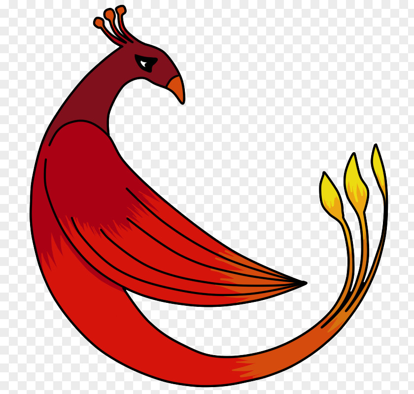 Fenix Chicken As Food Clip Art PNG