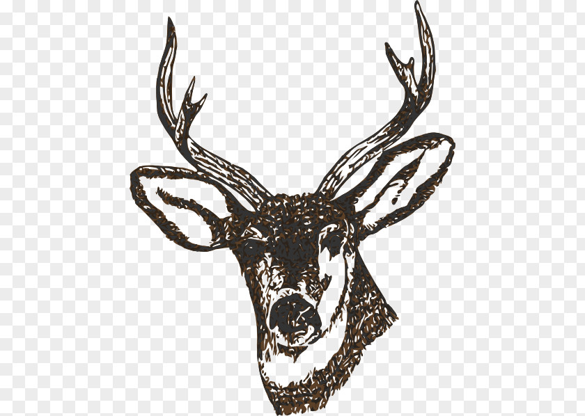 Stag Head White-tailed Deer Clip Art PNG