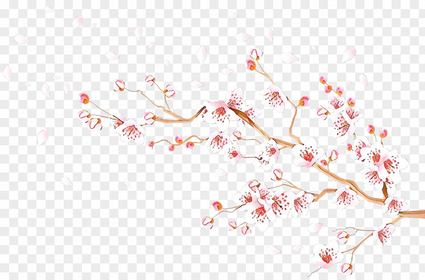 Twig Plant Cherry Blossom PNG