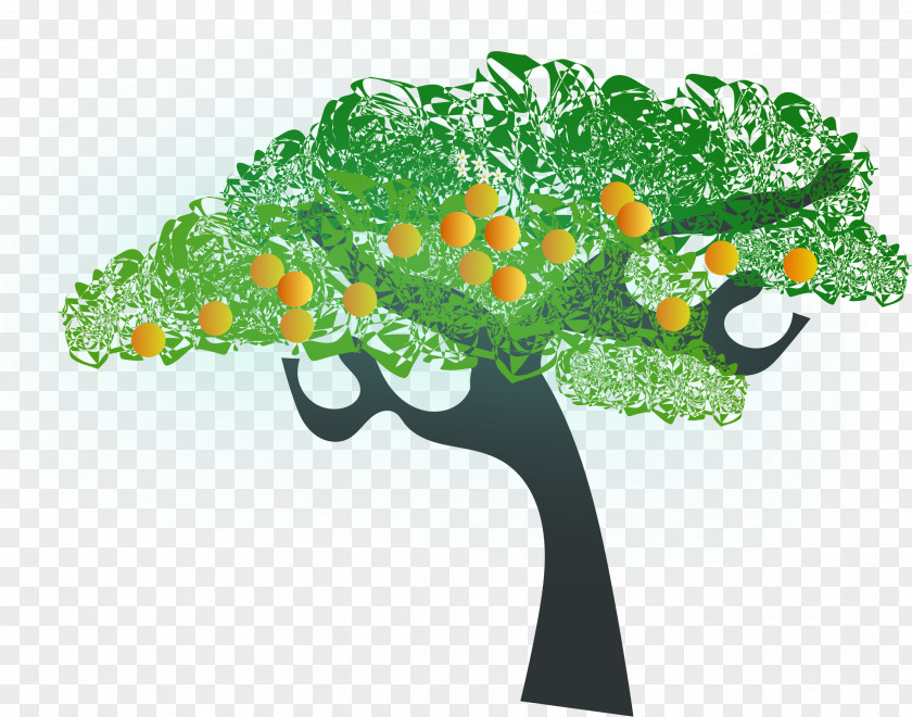 Orange Tree Fruit PNG