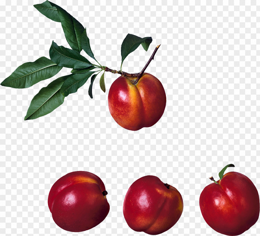 Peach Image Barbados Cherry Fruit PNG