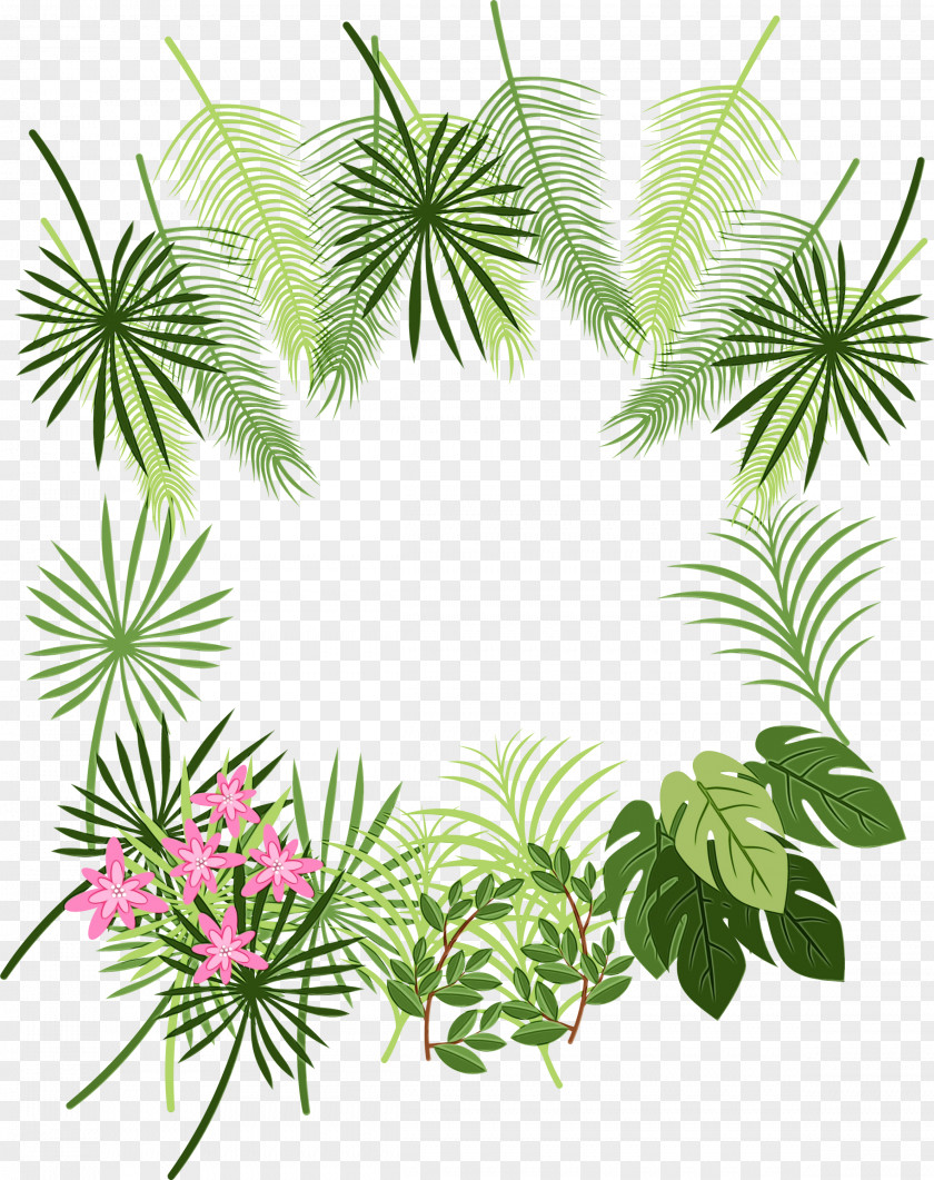 Plant Stem Branch Palm Tree Background PNG