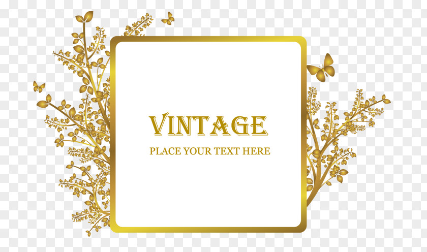 Text Box Picture Frames Decorative Arts PNG