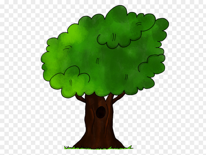 Tree Drawing Paper Visual Arts PNG
