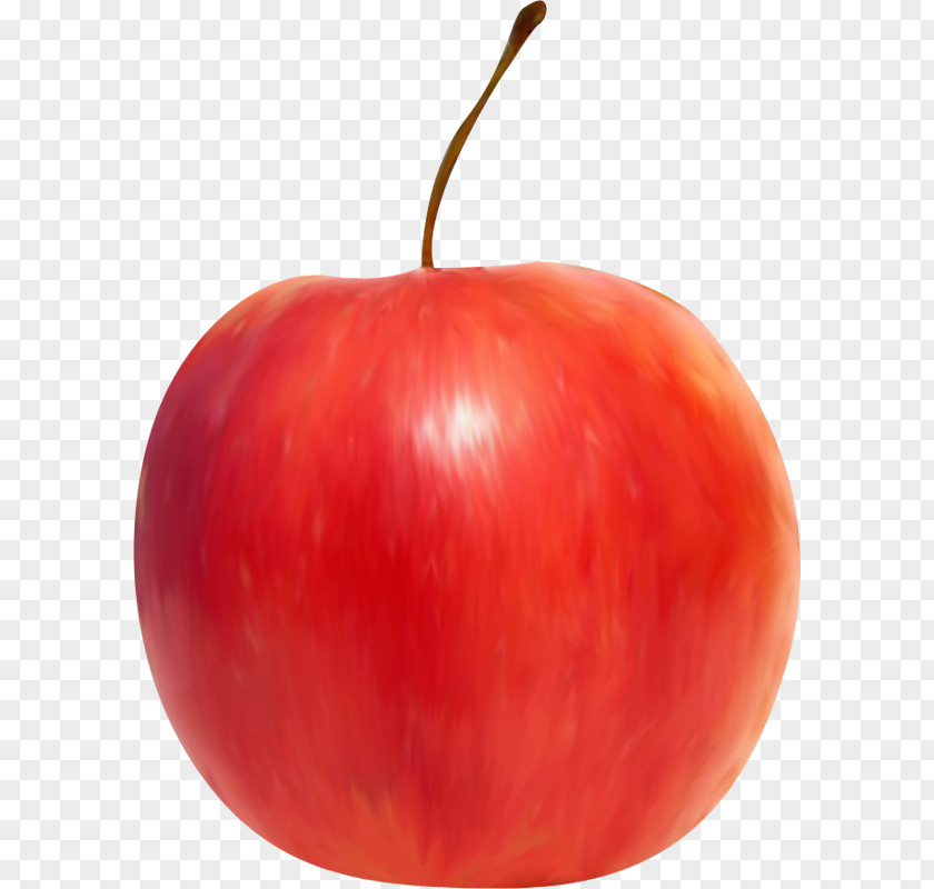 Apple Plum Tomato Still Life Accessory Fruit Clip Art PNG