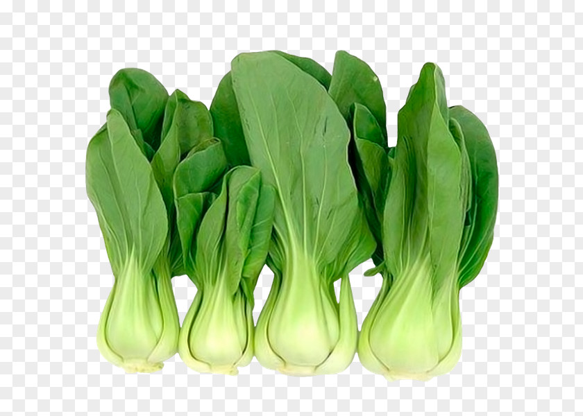 Bok Choy Chinese Cuisine Cabbage Asian Leaf Vegetable PNG