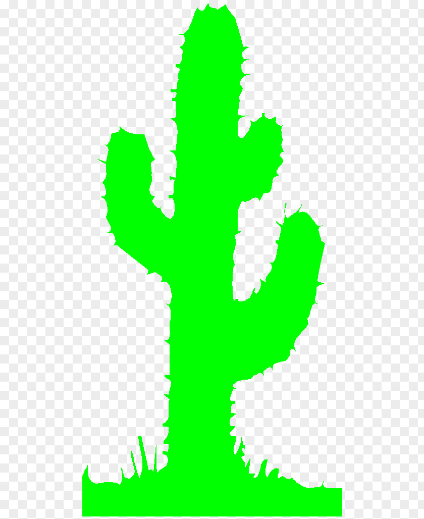 Cactus Cactaceae Animation Clip Art PNG