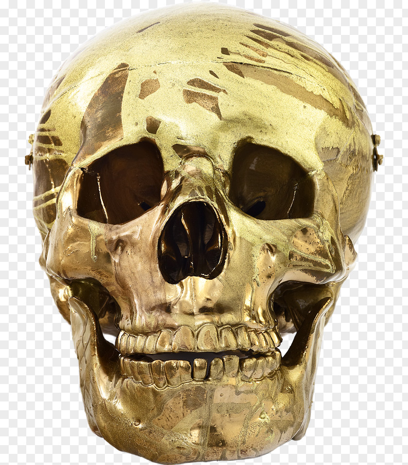 Damien Hirst Artwork Skull Hirst: Schizophrenogenesis Artist Sculpture PNG
