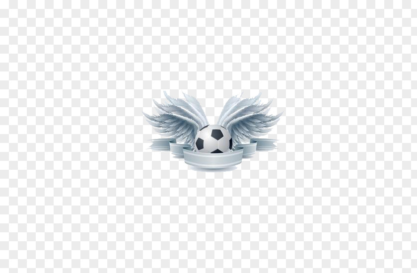 Football Wings Illustration PNG
