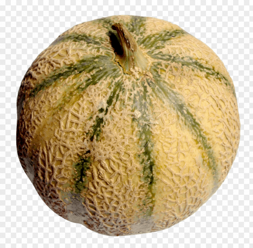 Melon Cantaloupe Galia Hami PNG