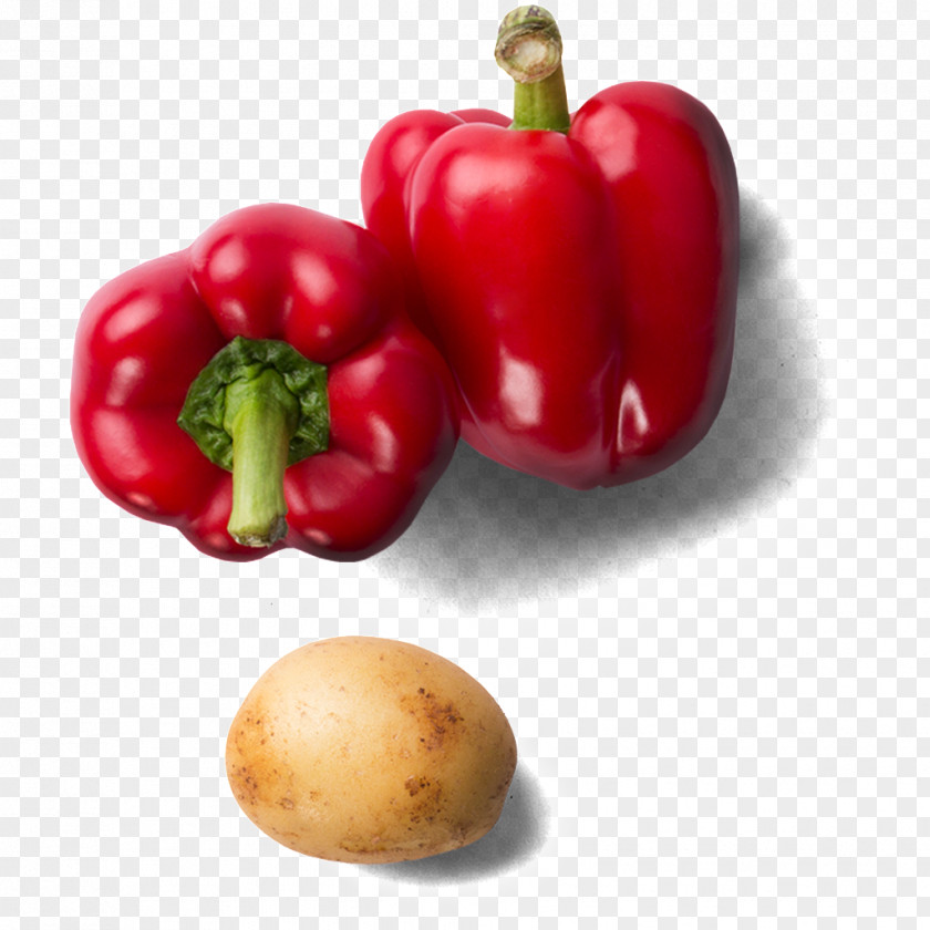 Red Pepper Bell Cayenne Chili Vegetable Food PNG