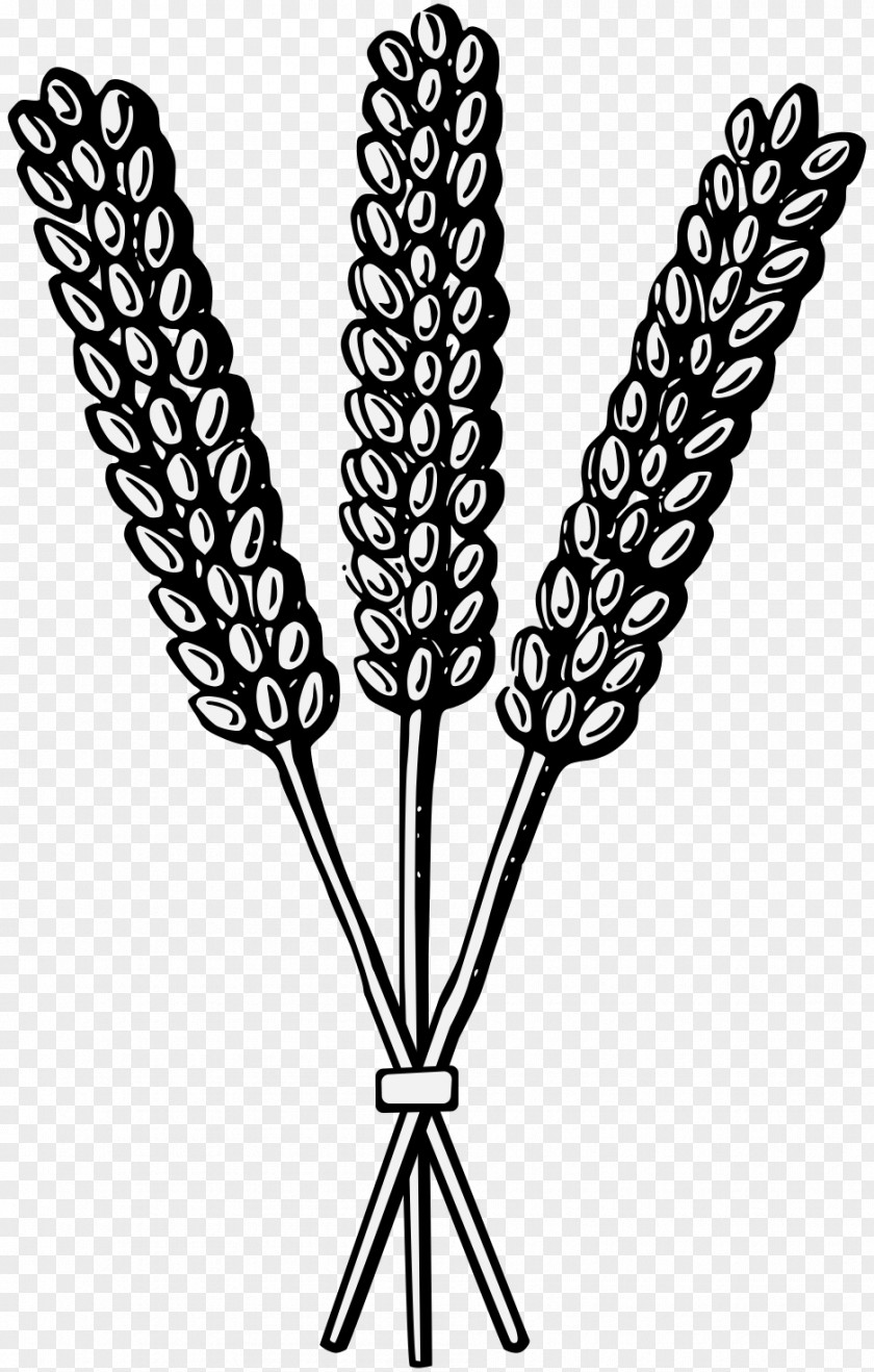 Wheat Sheaf Heraldry Cereal PDF PNG