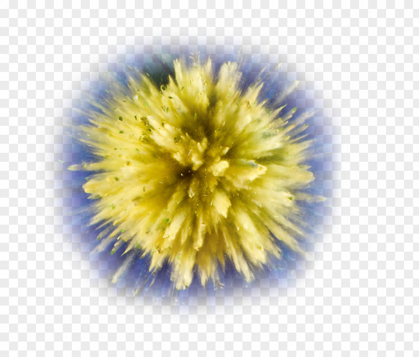 Yellow Glow Explosion Powder Photography PNG