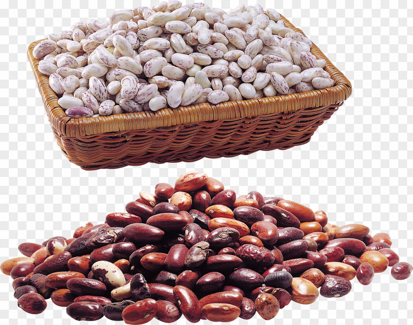 Beans Ecommerce Common Bean Kidney Clip Art PNG