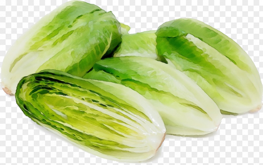 Cabbage Chinese Vegetable Leaf Iceburg Lettuce Food Plant PNG