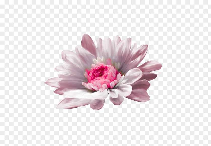 Flower Desktop Wallpaper Image Picture Frames Photograph PNG