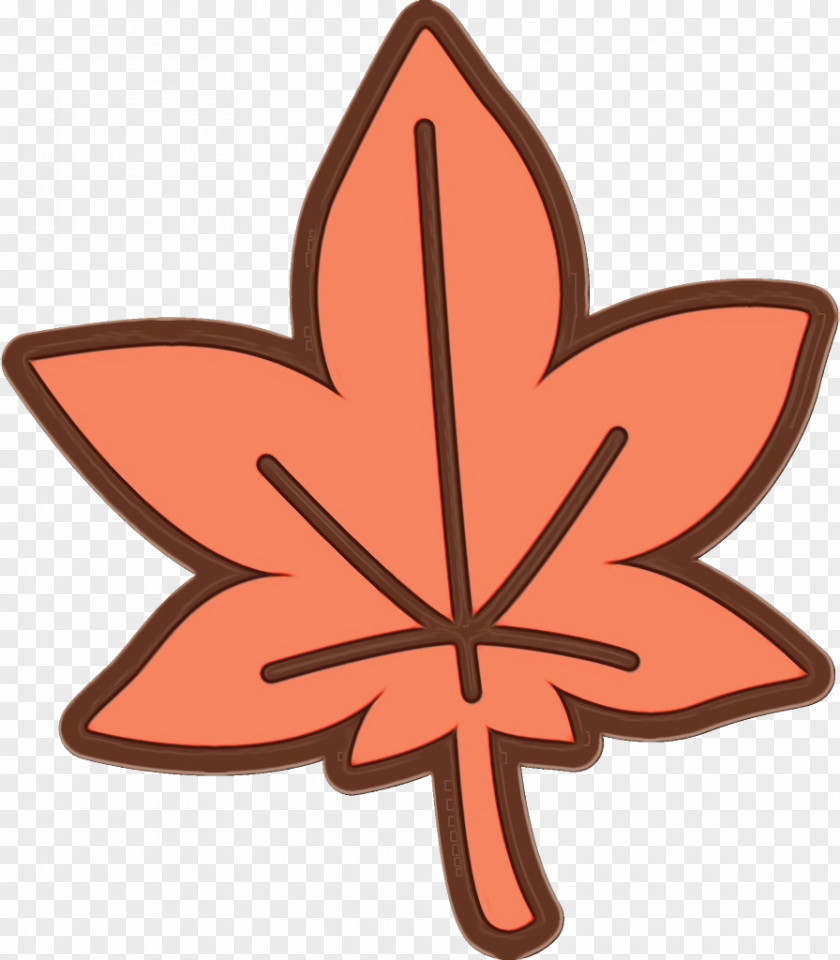 Flower Petal Leaf Plant Symbol Tree PNG