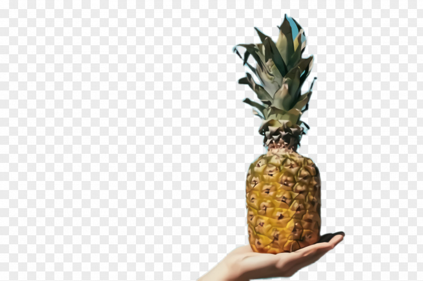 Food Plant Pineapple PNG