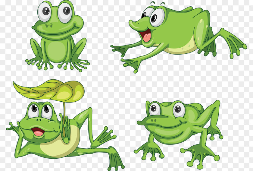 Frog Edible Common Clip Art PNG