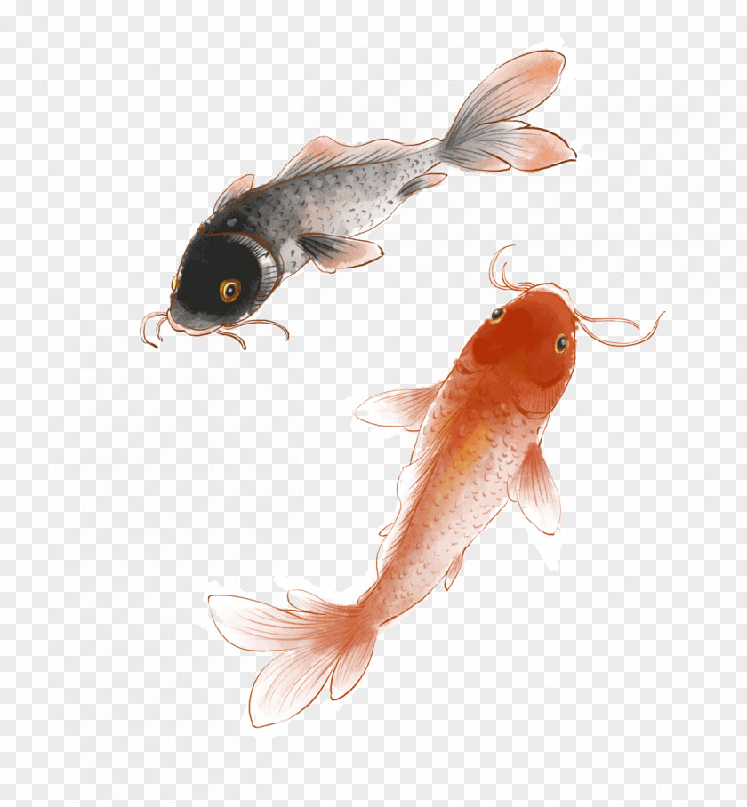 Hurry Up Koi Ink Wash Painting Image PNG