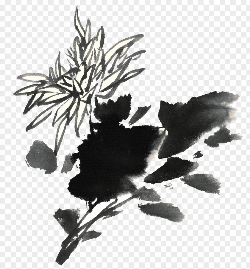 Ink Chrysanthemum Wash Painting Chinoiserie Brush PNG