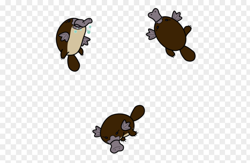 Venomous Mammal Platypus Ornithorhynchidae Clip Art PNG