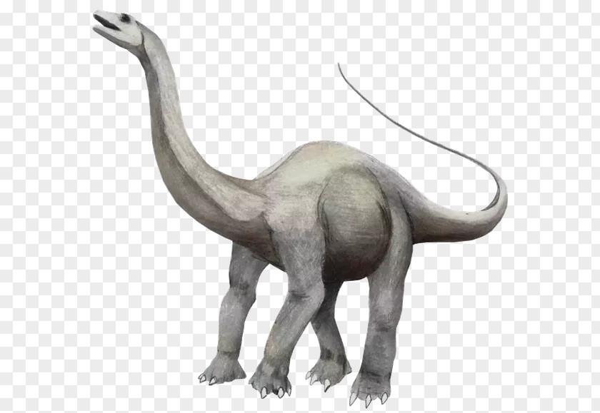 Apatosaurus Brontosaurus We're Back! A Dinosaur's Story Albertosaurus PNG