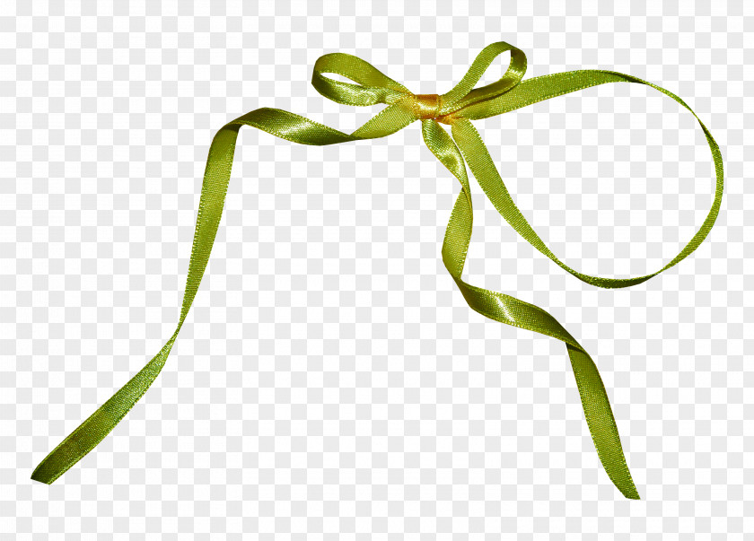 Bow Silk Ribbon Green Clip Art PNG