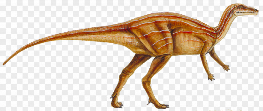 Cretaceous Dinosaur Velociraptor Orodromeus Lambeosaurus Reptile Late PNG