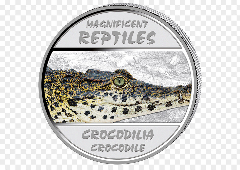 Crocodile Crocodiles Turtle Silver Coin Cuban PNG