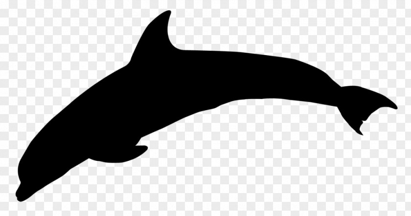 Dolphin Dog Killer Whale Mammal Clip Art PNG
