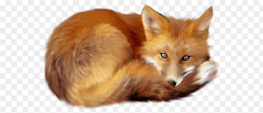 Fox Lying Down PNG Down, brown fox art clipart PNG