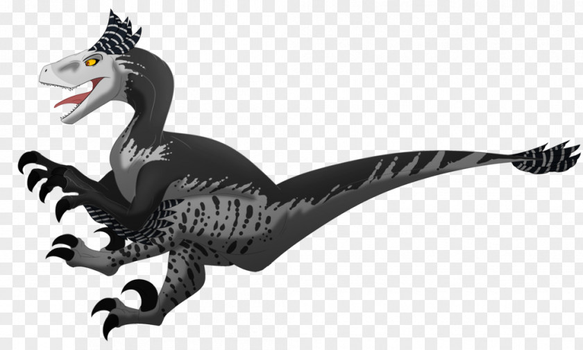 Harpy Eagle Animal Art 17 October PNG