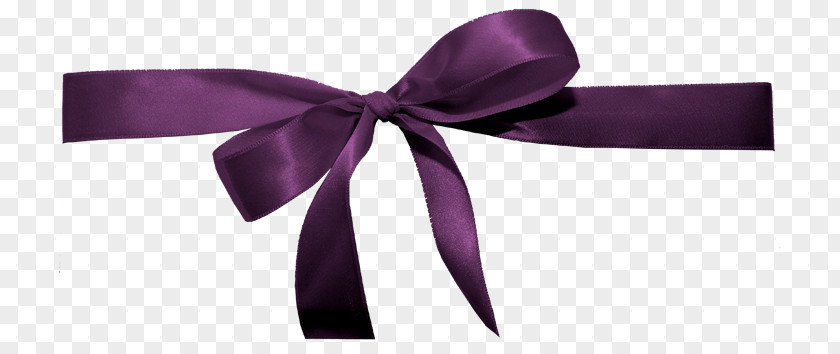 Purple Ribbon Bow Software Clip Art PNG