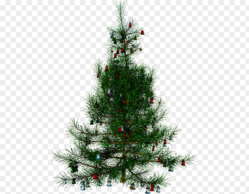 Santa Claus Christmas Gift-bringer Tree PNG