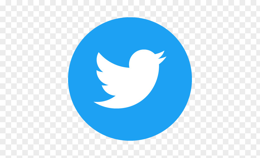 Twitter Logo Icon Clip Art PNG