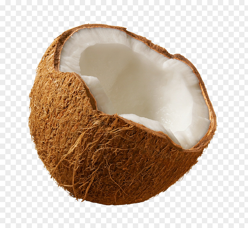 Coconut PNG clipart PNG