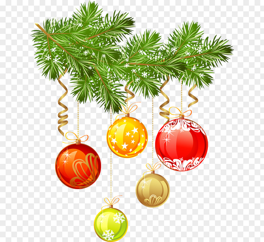 Fir Clip Art -Christmas Information Bryansk Regional Football Federation PNG