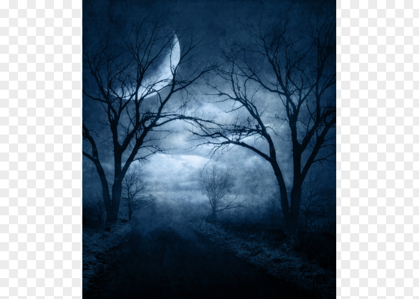 Horror With Evil Intent Desktop Wallpaper Gothic Fiction Novel Image PNG