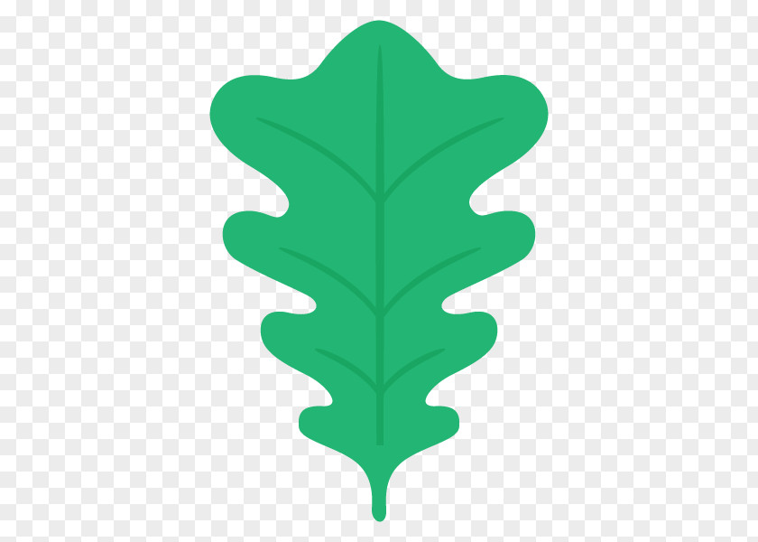 Illustration Leaf Tree Plants Vector Graphics PNG